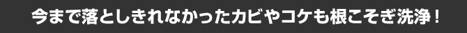 今まで落としきれなかったカビやコケも根こそぎ洗浄
