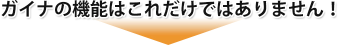 ガイナの機能はこれだけではありません