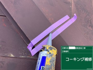 270D25C1-F838-4E86-A33E-9B8FAAE20439