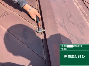 F208FCB8-99A0-455A-806F-9B6E9B4E2111 2